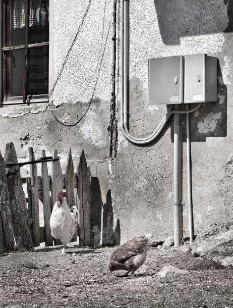 Heinz Jörgen Hafele - Landesfotodokumentation 2010