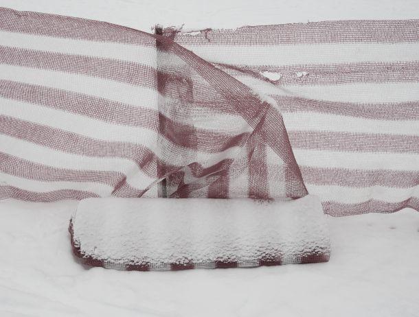 Heinz Jörgen Hafele - Landesfotodokumentation 2010