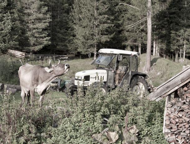Heinz Jörgen Hafele - Landesfotodokumentation 2010