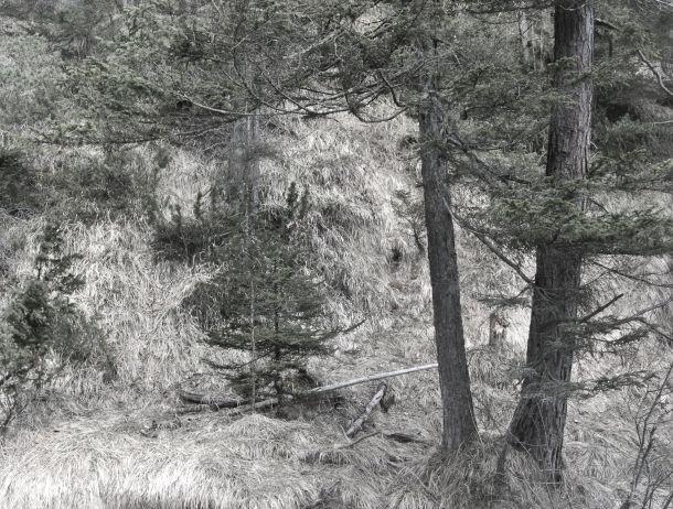 Gerd Jenewein - Landesfotodokumentation 2008