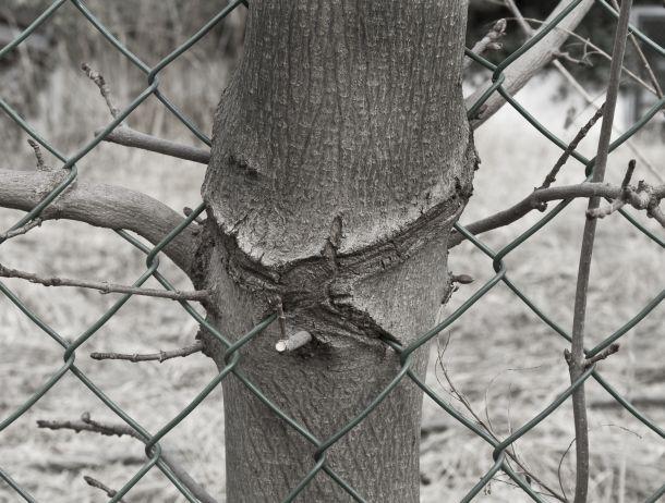 Markus Jenewein - Landesfotodokumentation 2008