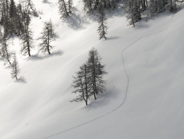 Markus Jenewein - Landesfotodokumentation 2008