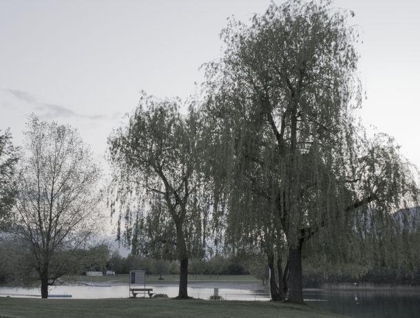 Markus Jenewein - Landesfotodokumentation 2008