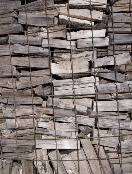 Markus Jenewein - Landesfotodokumentation 2008