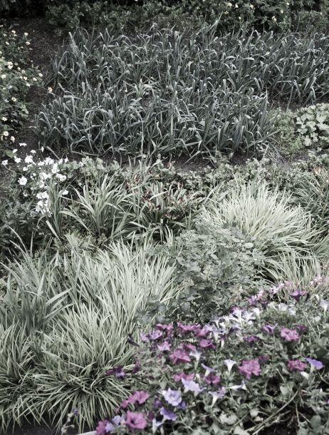 Markus Jenewein - Landesfotodokumentation 2008