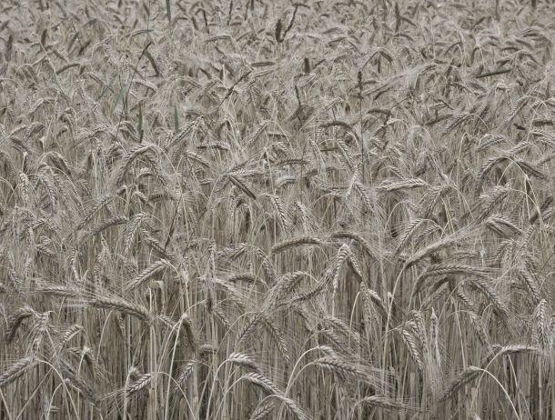 Markus Jenewein - Landesfotodokumentation 2008