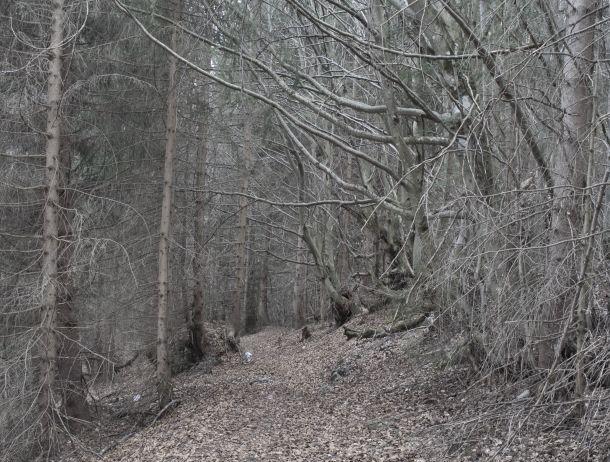 Markus Jenewein - Landesfotodokumentation 2008