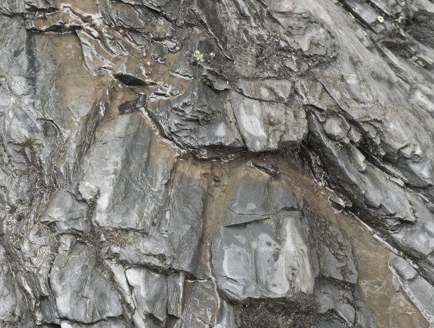 Anton Kiefer - Landesfotodokumentation 2008