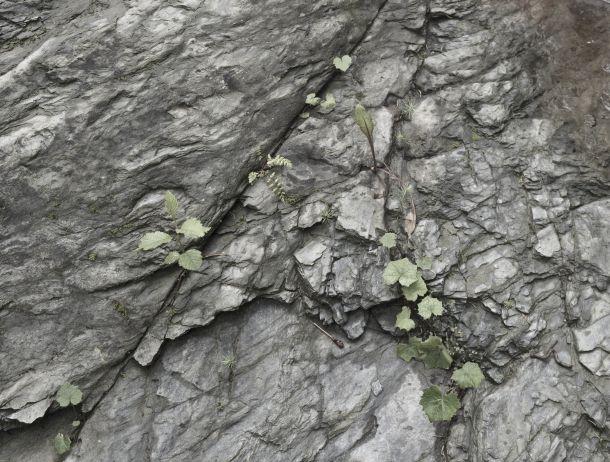 Anton Kiefer - Landesfotodokumentation 2008