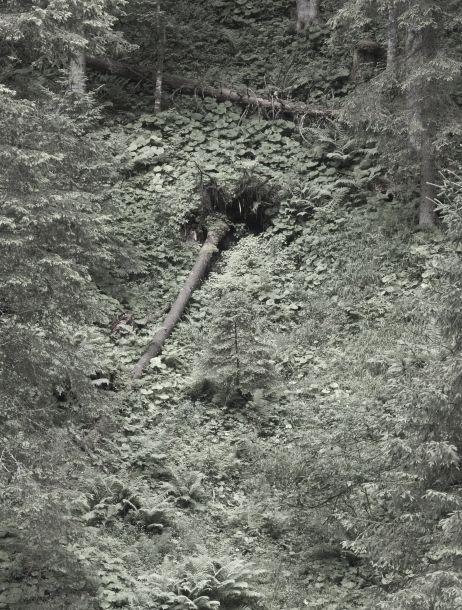 Anton Kiefer - Landesfotodokumentation 2008