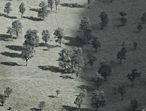 Anton Kiefer - Landesfotodokumentation 2008