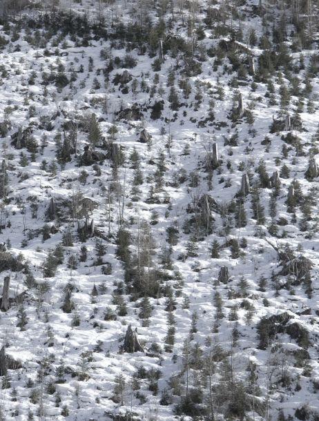 Anton Kiefer - Landesfotodokumentation 2008