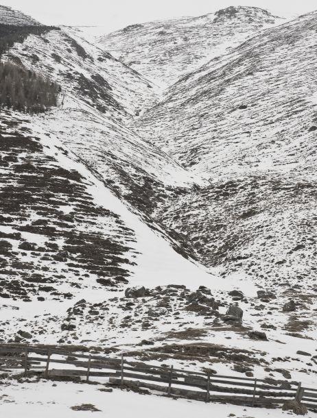 Martin Konrad - Landesfotodokumentation 2008