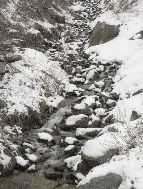 Martin Konrad - Landesfotodokumentation 2008