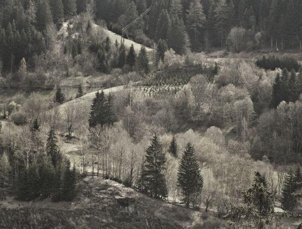 Martin Konrad - Landesfotodokumentation 2008