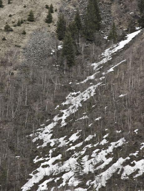 Martin Konrad - Landesfotodokumentation 2008