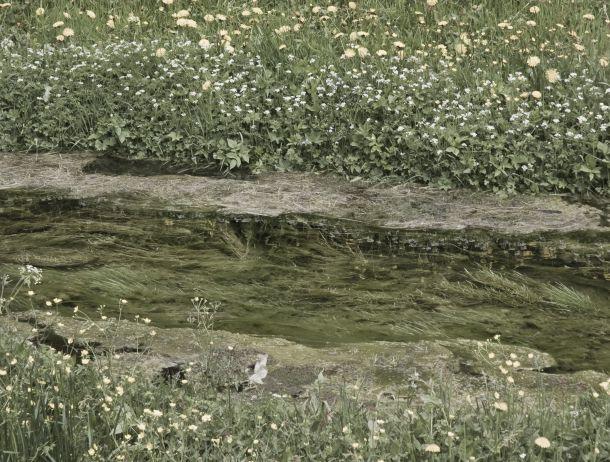 Martin Konrad - Landesfotodokumentation 2008