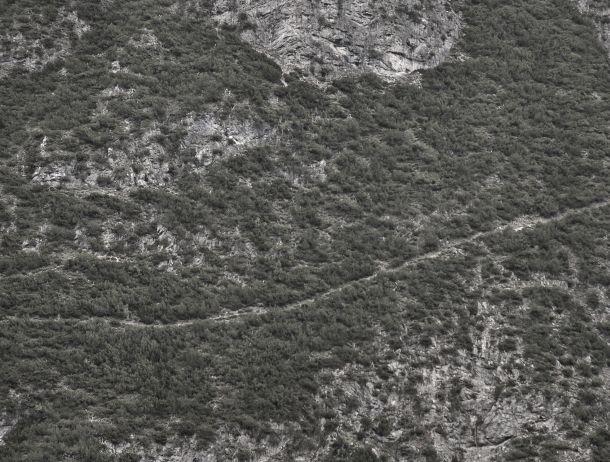 Martin Konrad - Landesfotodokumentation 2008