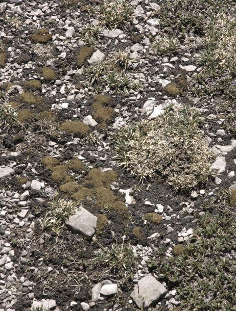 Martin Konrad - Landesfotodokumentation 2008