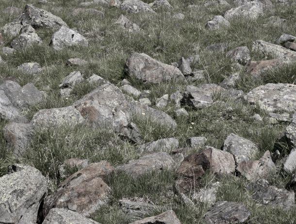 Walter Köck - Landesfotodokumentation 2008