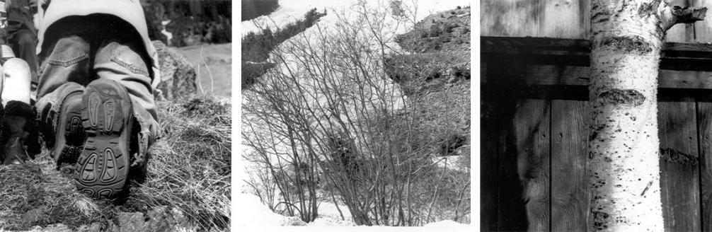 Cornelia Kaufmann - Landesfotodokumentation 2002