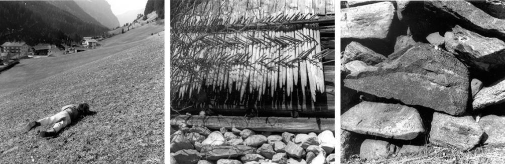 Cornelia Kaufmann - Landesfotodokumentation 2002