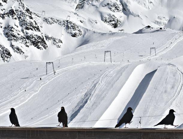 Elisabeth Strickner - Landesfotodokumentation 2010