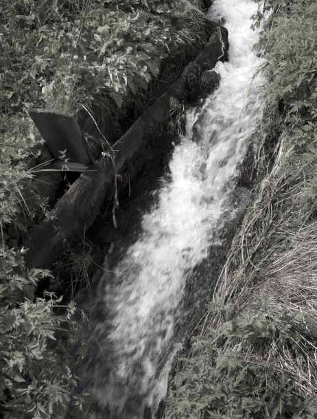 Martin Konrad - Landesfotodokumentation 2010