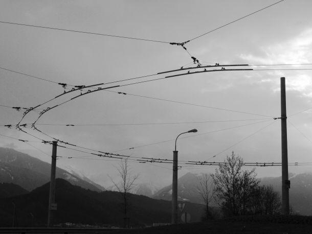 Heinz Jörgen Hafele - Landesfotodokumentation 2002