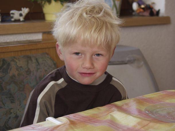 Martin Strickner - Landesfotodokumentation 2002