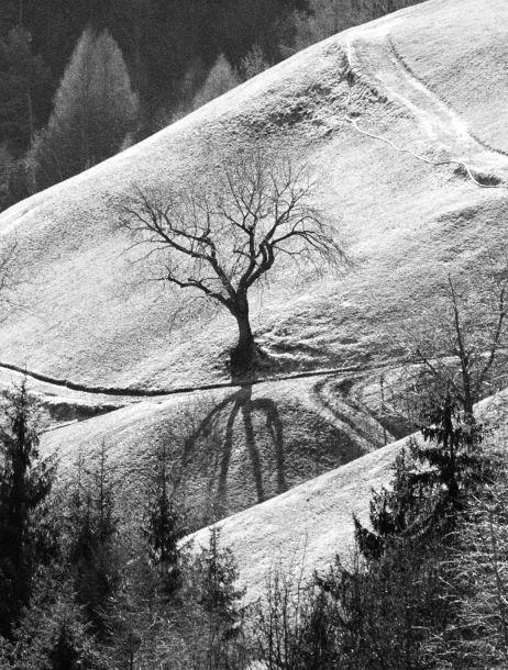 Cäcilia Lobis-Mian - Landesfotodokumentation 2002