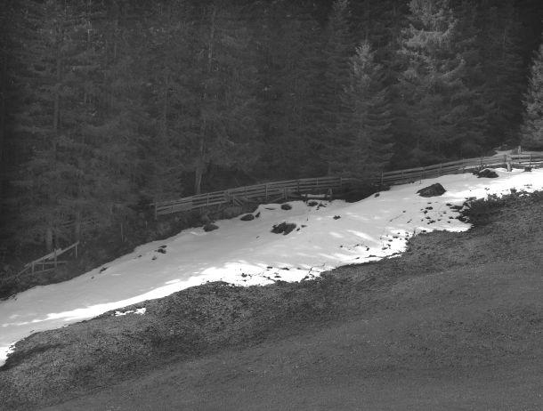 Elisabeth Strickner - Landesfotodokumentation 2002