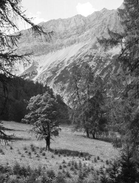 Edith Mühlmann - Landesfotodokumentation 2002