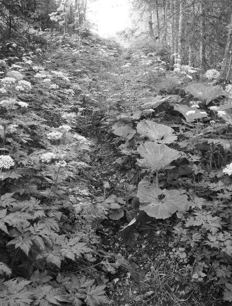 Maria Schott - Landesfotodokumentation 2002