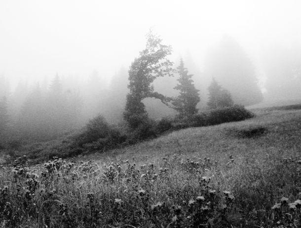 Maria Schott - Landesfotodokumentation 2002