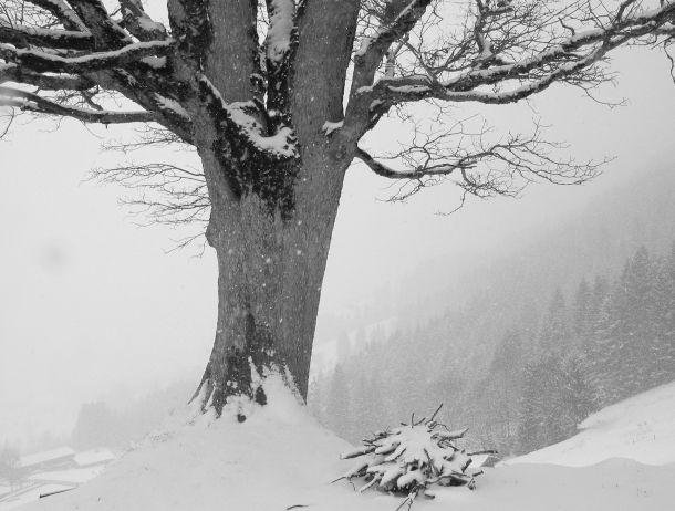 Maria Schott - Landesfotodokumentation 2002