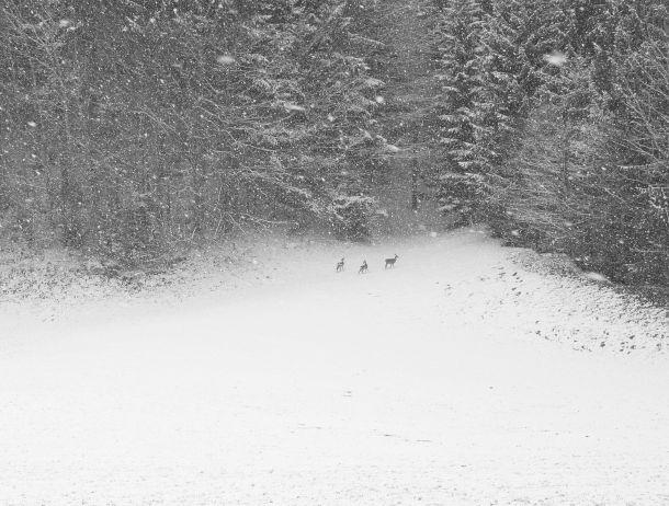 Maria Schott - Landesfotodokumentation 2002