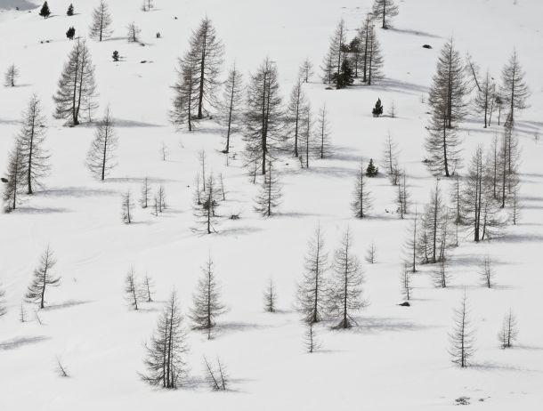 Martin Strickner - Landesfotodokumentation 2008