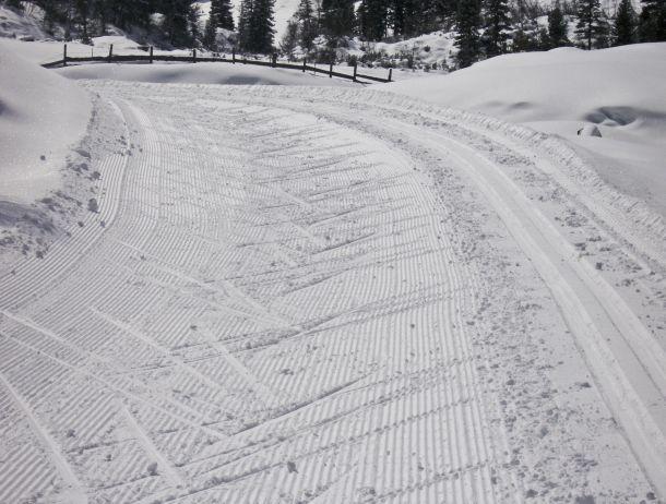 Martin Strickner - Landesfotodokumentation 2008