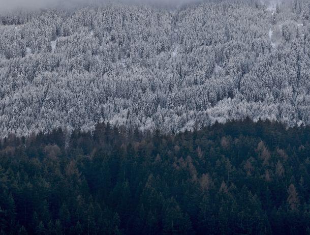 Martin Strickner - Landesfotodokumentation 2008