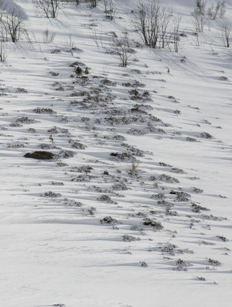 Martin Strickner - Landesfotodokumentation 2008