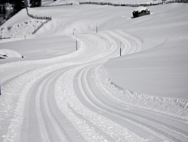 Martin Strickner - Landesfotodokumentation 2008