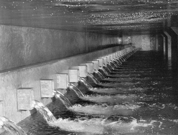 Martin Strickner - Landesfotodokumentation 2002