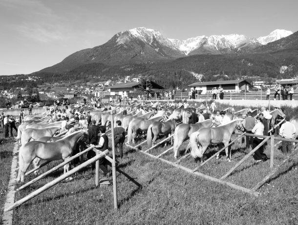 Melitta Abber - Landesfotodokumentation 2003