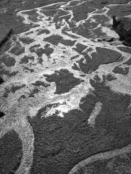 Melitta Abber - Landesfotodokumentation 2003