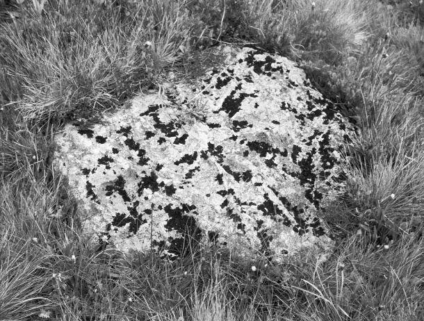 Michaela Dernier - Landesfotodokumentation 2003