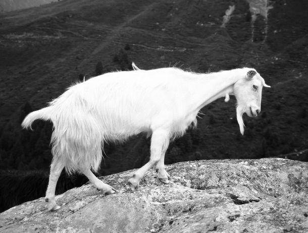 Michaela Dernier - Landesfotodokumentation 2003