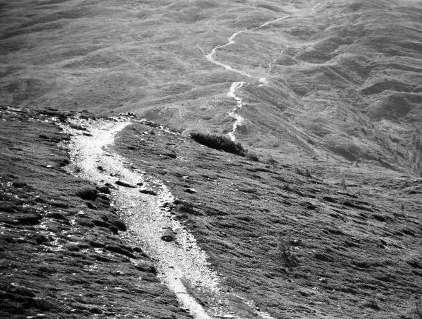 Michaela Dernier - Landesfotodokumentation 2003