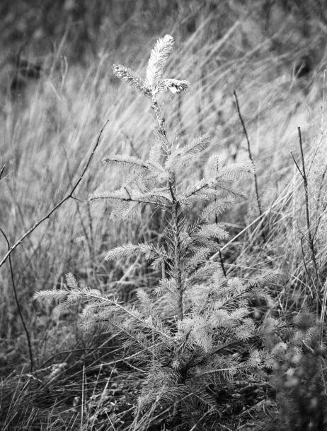 Michaela Dernier - Landesfotodokumentation 2003