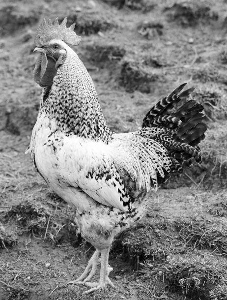 Michaela Dernier - Landesfotodokumentation 2003